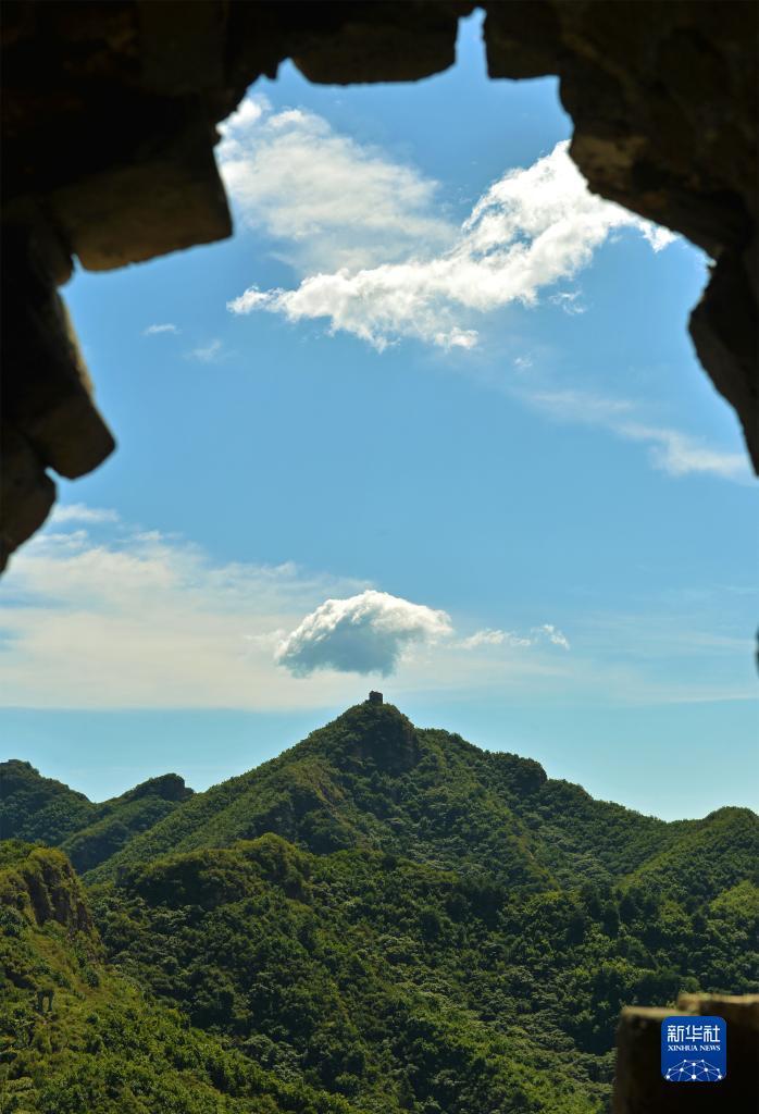永利注册入口